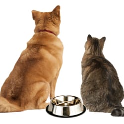 Sanatoga Water Conditioning - Your pets can sense bad water too. Call & ask about the "pet test" and see, when given the choice, which water bowl your pets drink from.