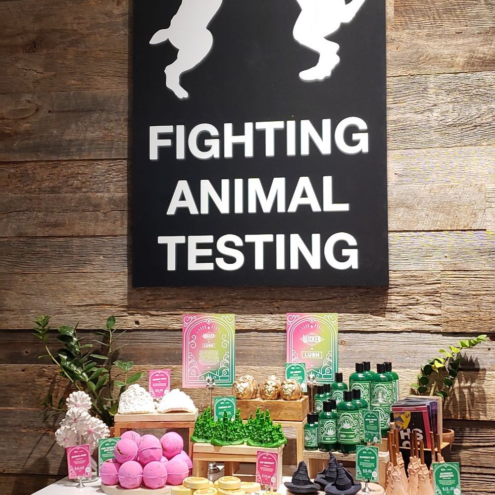 Lush Cosmetics - Cosmetics & Beauty Supply Near Me - San Diego, California Lush Cosmetics - Cosmetics & Beauty Supply Near Me - San Diego, California