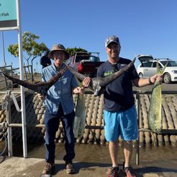 Go Fishing Hawaii - Double double trouble. 2 blue marlin and 2 mahimahi. Awesome day.