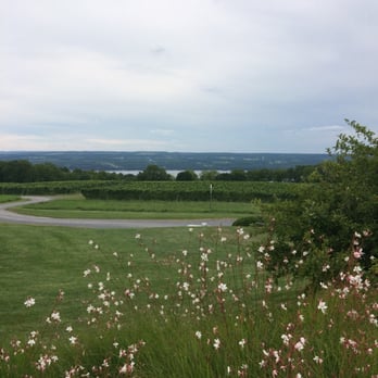 Lamoreaux Landing Wine Cellars - Let's talk about this view... - Wineries Near Me - Lodi, New York Lamoreaux Landing Wine Cellars - Let's talk about this view... - Wineries Near Me - Lodi, New York