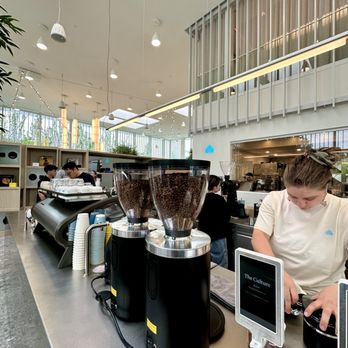 Nemesis Coffee - Baristas - Cafes Near Me - Coquitlam, British Columbia
