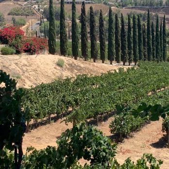 Temecula Valley Cable Car Wine Tours - Wine Tours Near Me - Temecula, California