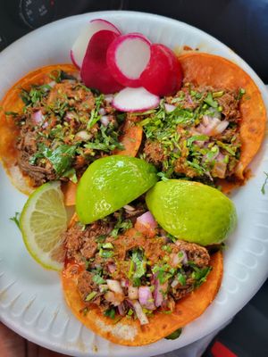 Teddy's Red Tacos by null