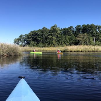 River Dogs Kayaking - Look at that peaceful view! - Rafting/Kayaking Near Me - Chesapeake, Virginia