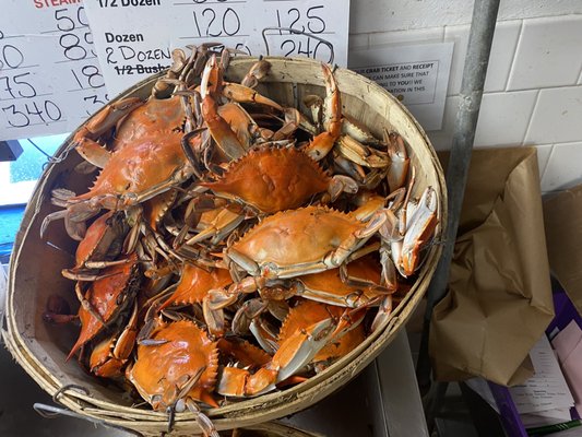 Graham & Rollins Hampton Seafood Market by null