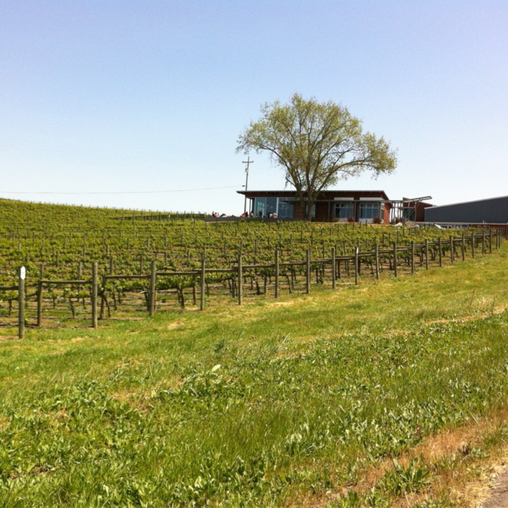 Cuvaison - Wineries Near Me - Napa, California Cuvaison - Wineries Near Me - Napa, California