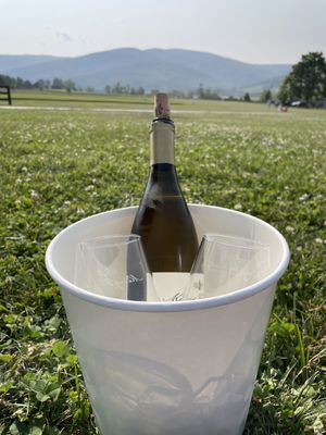 King Family Vineyards by null