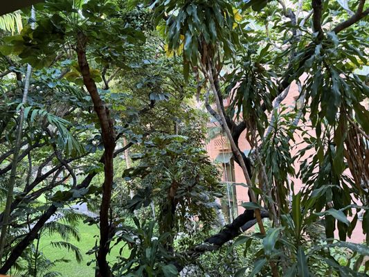 Island Vintage Wine Bar by null