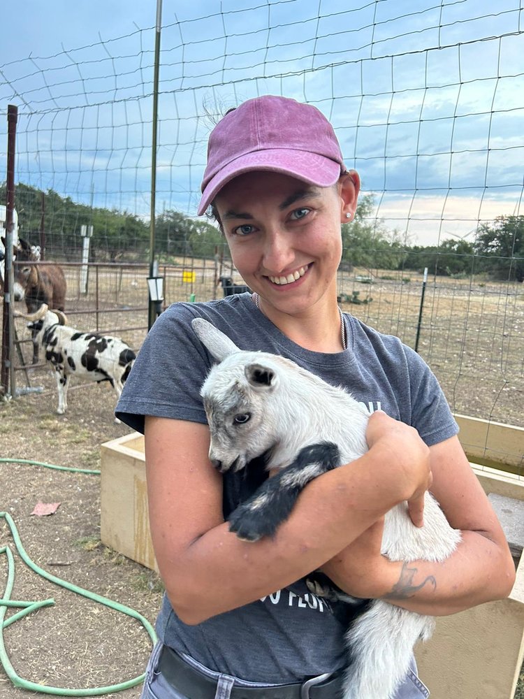 Livestock Lark - pet boarding facility in Oro Valley, AZ