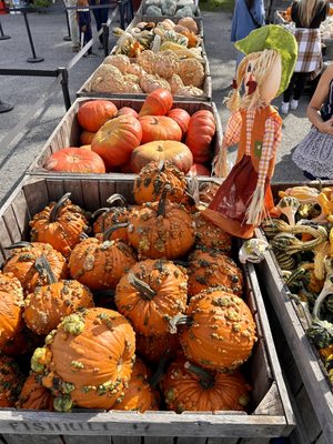 Fishkill Farms by null