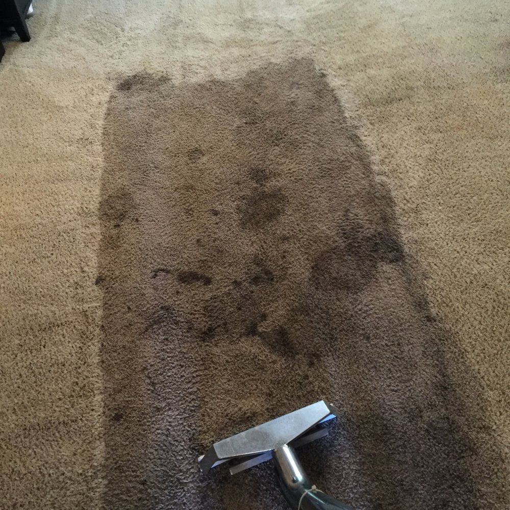 OAKLEAF CARPET CARE Updated October 2024 9676 Nelson Forks Dr