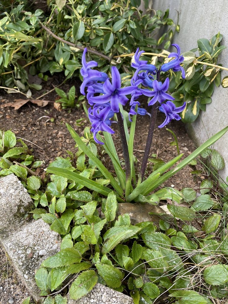 ERNIE’S AUTO WASH Updated September 2024 13 Reviews 1 Meadow Rd