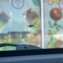 Auto One Glass & Accessories