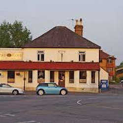 Red Rose Guildford