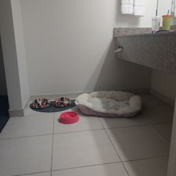 Legit dog friendly establishment. Pet bowls, pet bed. Legit dog friendly establishment. Pet bowls, pet bed.