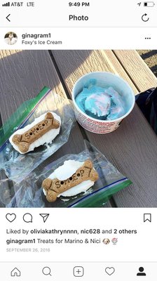 Foxy's Ice Cream by null