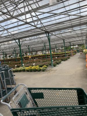 Calareso's Farm Stand & Garden Center by null