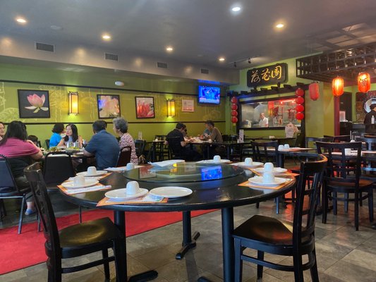 Lotus Garden by null