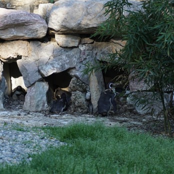 Le Cornelle - Zoos Near Me - Valbrembo, BG