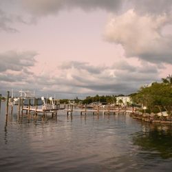 Mangrove Marina