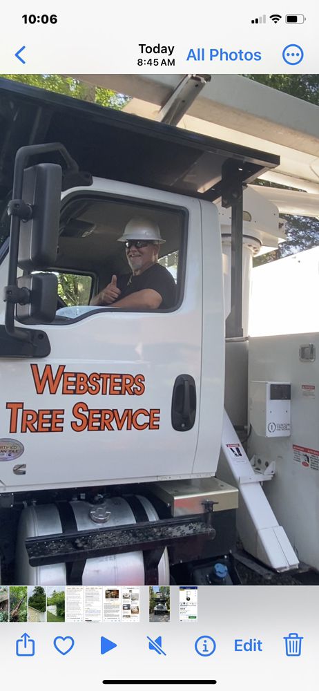 Webster's Tree Service - tree service in Nashville, TN