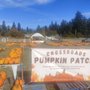 Photo of Crossroads Pumpkin Patch