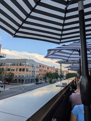 Wolf & Company by null