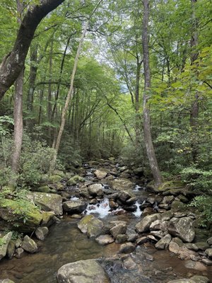 Jones Gap State Park by null
