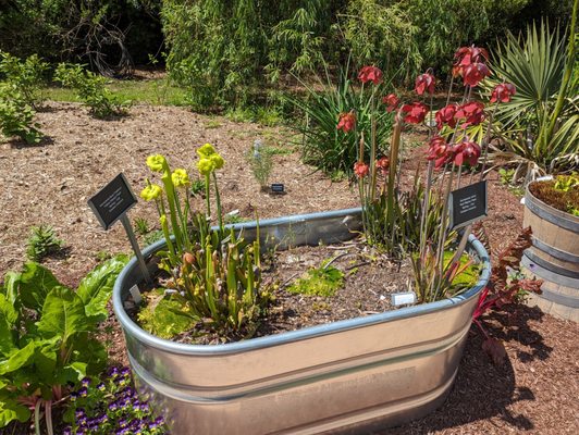 Wilson Botanical Gardens by null