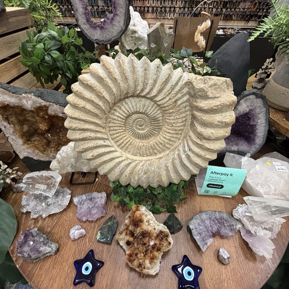 Stoneage Natural Rocks - A variety of different crystals and bracelets - Gemstones & Minerals Near Me - Jacksonville, North Carolina Stoneage Natural Rocks - A variety of different crystals and bracelets - Gemstones & Minerals Near Me - Jacksonville, North Carolina