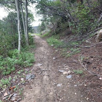 Microtel Inn & Suites by Wyndham - Trail around Georgetown lake near the hotel - Hotels Near Me - Georgetown, Colorado