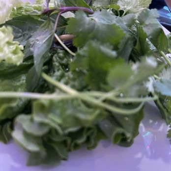 Lang Van - Free veggies that came with Pho Dac Biet - Vietnamese Near Me - Charlotte, North Carolina