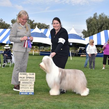 So Fetch Mobile Dog Grooming - Pet Groomers Near Me - Riverside, California So Fetch Mobile Dog Grooming - Pet Groomers Near Me - Riverside, California
