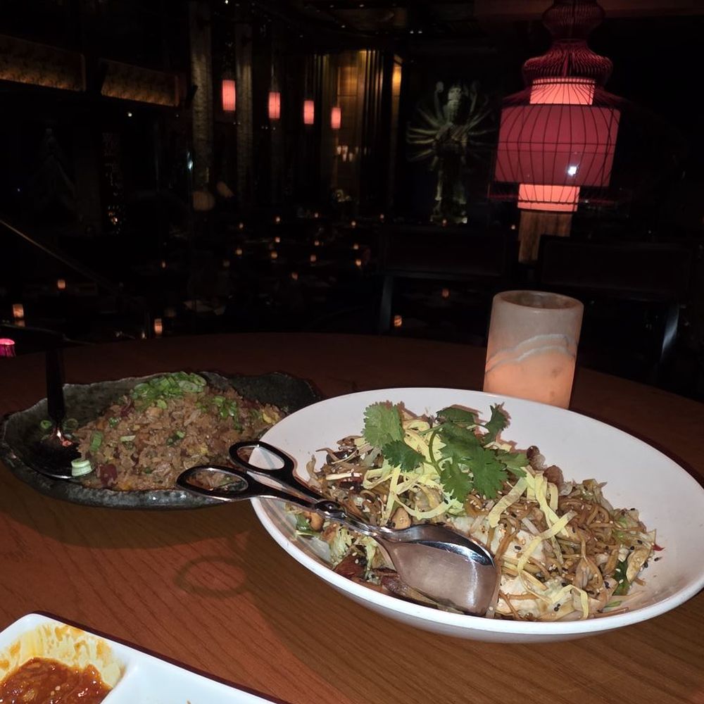 TAO Chicago Restaurant - Fried Rice & Noodles - Pan Asian Near Me - Chicago, Illinois