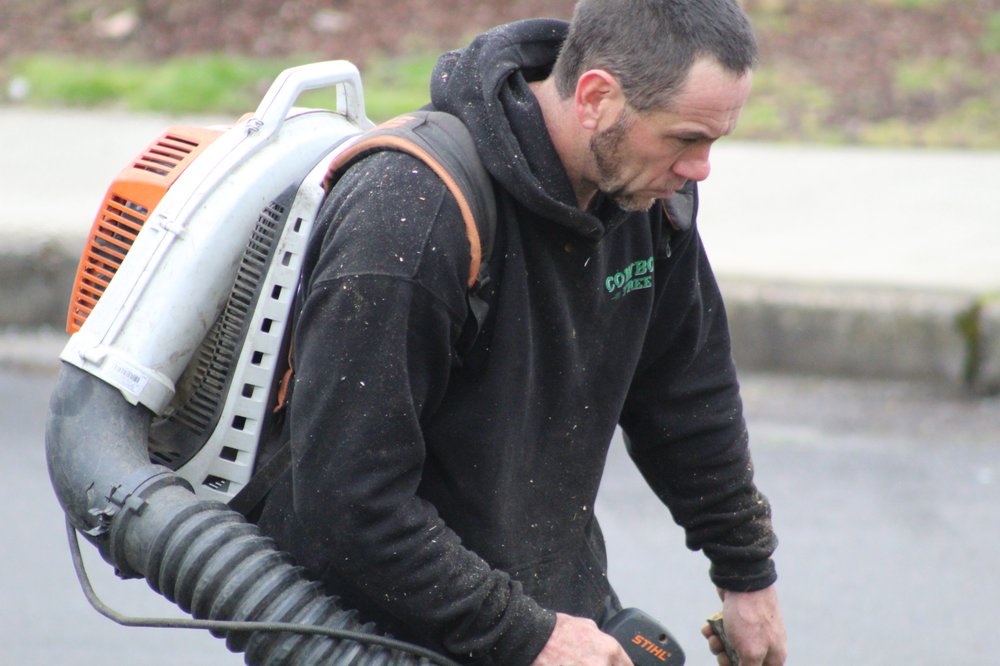 Cowboy Tree - tree service in Roseburg, OR