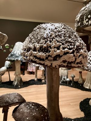Florence Griswold Museum by null