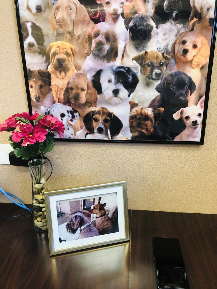 JOSSI LU HOUSE OF GROOMING Updated June 2024 17 Photos 5101 E University Dr, Denton, Texas