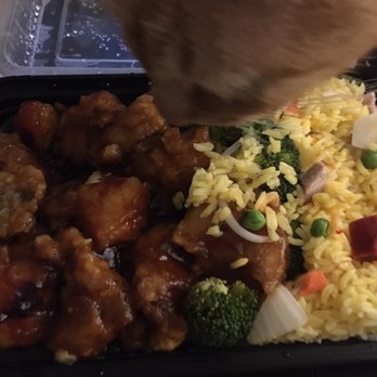 Good Jerry - Kitty approved Gen Tso's - Chinese Near Me - Greenbelt, Maryland