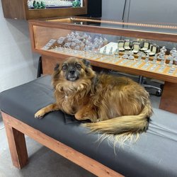 Parkville Jewelers - Store