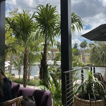 Tanuki River Landing - View - Japanese Near Me - Miami, Florida
