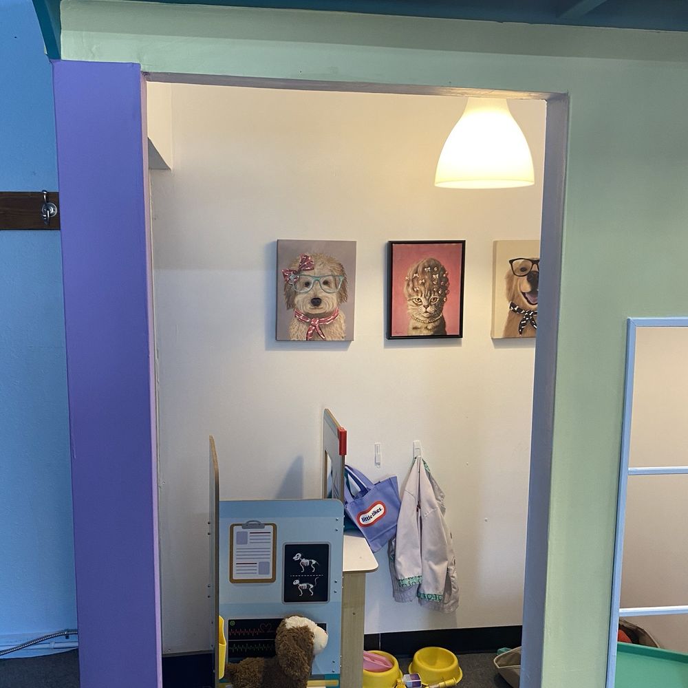 Nana’s Town - Time to take your pets to the vet! - Children's Museums Near Me - Spring Hill, Kansas Nana’s Town - Time to take your pets to the vet! - Children's Museums Near Me - Spring Hill, Kansas