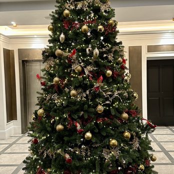 The Davenport Hotel - Lobby Christmas Tree - Hotels Near Me - Dublin, D