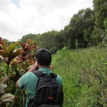 Hike Maui - Tours Near Me - Kahului, Hawaii