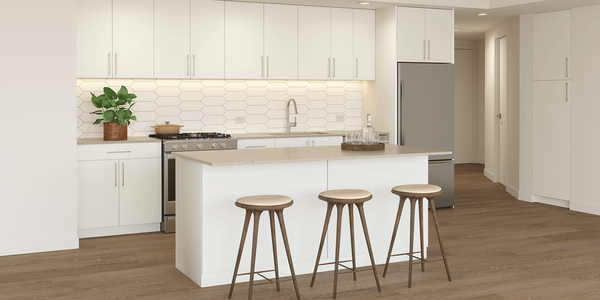 1717 Webster by null