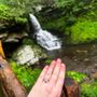 Photo of Salles Jewelry