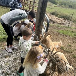 Benton Family Farm - Children at the preschool program offered! Feeding the goats!