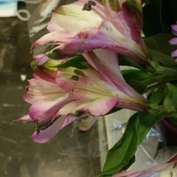 Valley Florist - Florists Near Me - San Jose, California