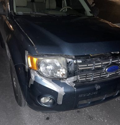 Shockey Dave Auto Body