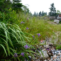 Goose Cove Resort