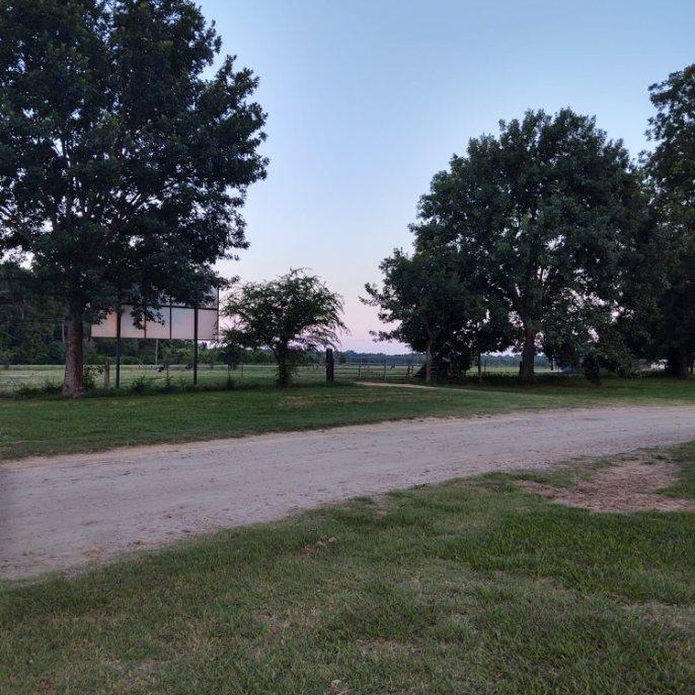 Working Cows Dairy - The cows in a front pasture. - Attraction Farms Near Me - Slocomb, Alabama Working Cows Dairy - The cows in a front pasture. - Attraction Farms Near Me - Slocomb, Alabama